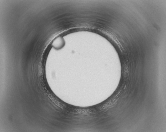 X0000115620927200912081020