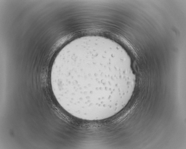 X0000115620930200912081020