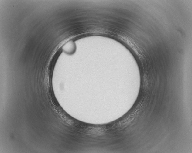 X0000115620931200912081020