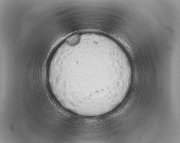 X0000115620933200912081020