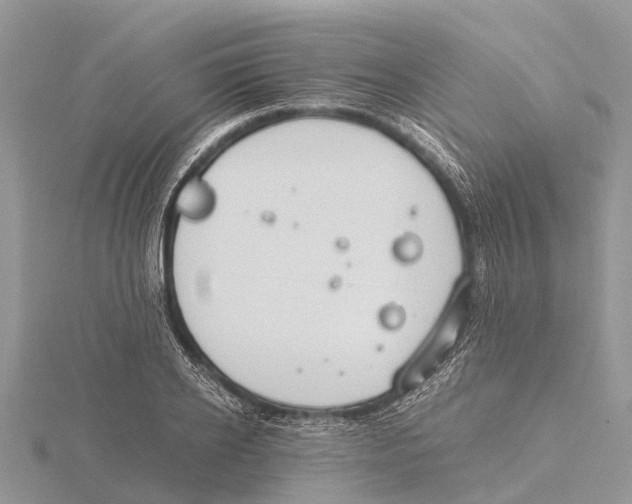 X0000115620934200912081020