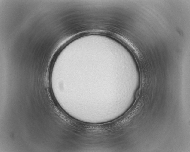 X0000115620935200912081020