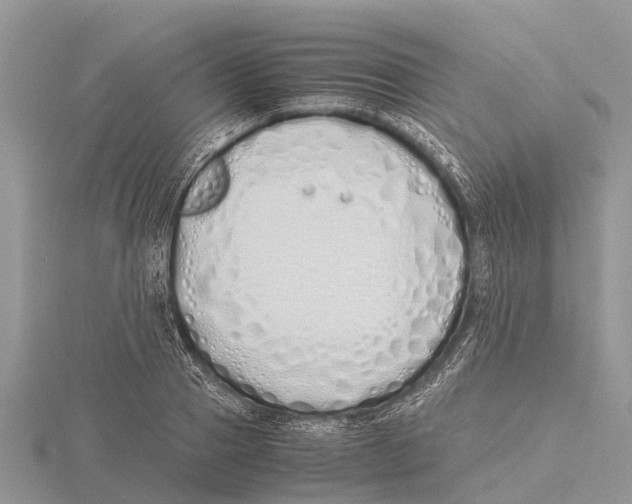 X0000115620937200912081020