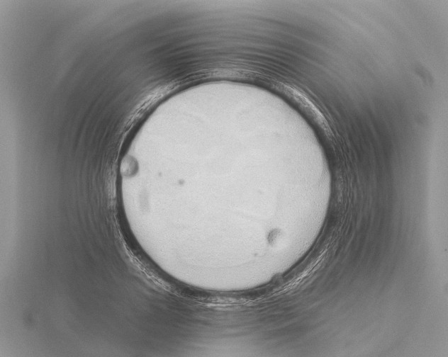 X0000115620938200912081020