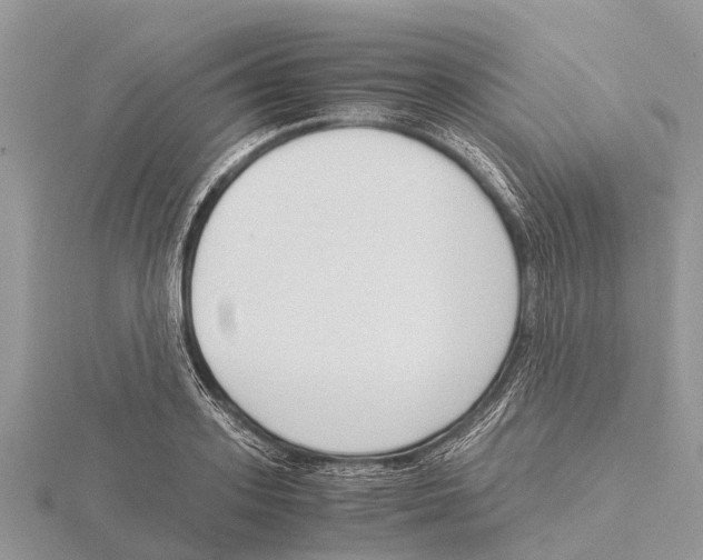 X0000115620939200912081020