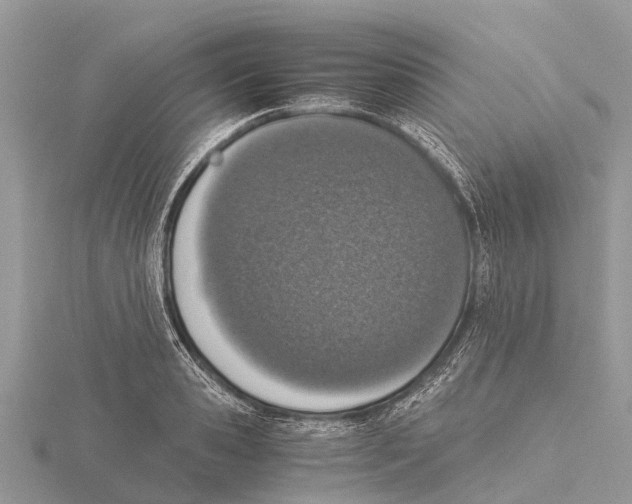 X0000115620941200912081020