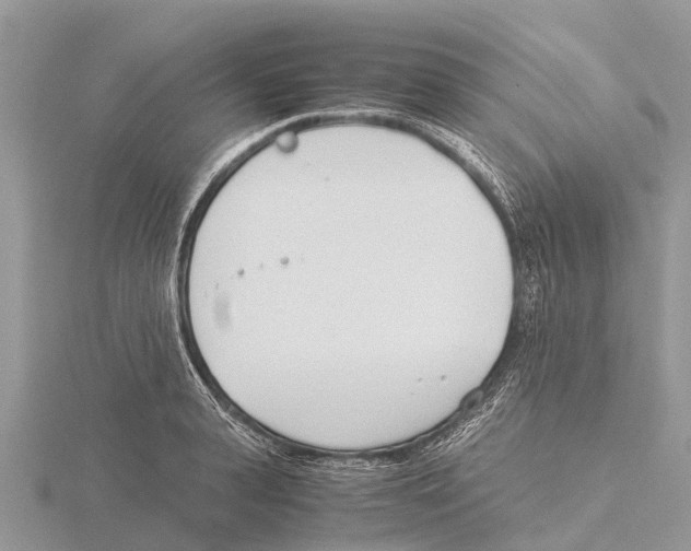 X0000115620943200912081020