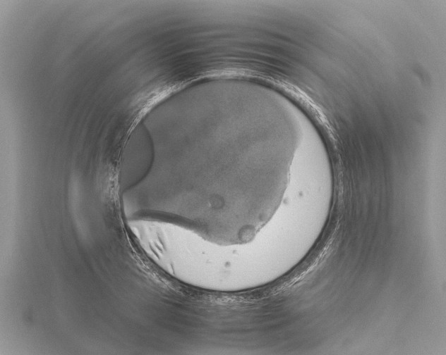 X0000115620945200912081020