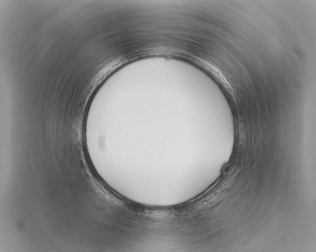 X0000115620946200912081020