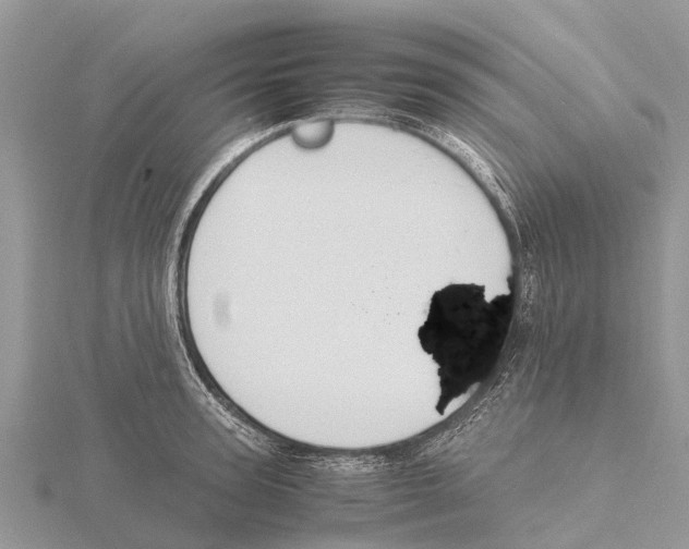 X0000115620947200912081020