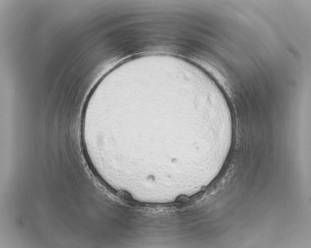 X0000115620949200912081020