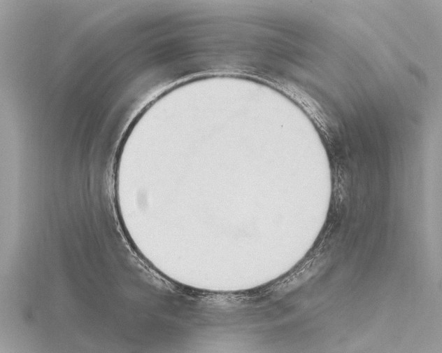 X0000115620950200912081020