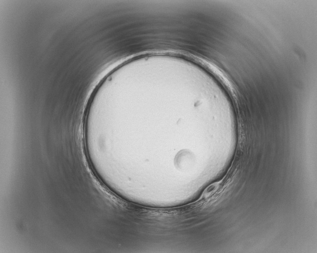 X0000115620951200912081020