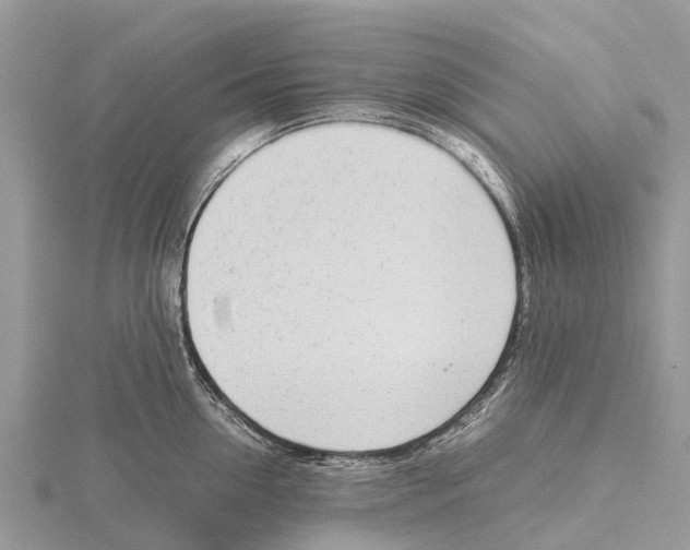 X0000115620954200912081020