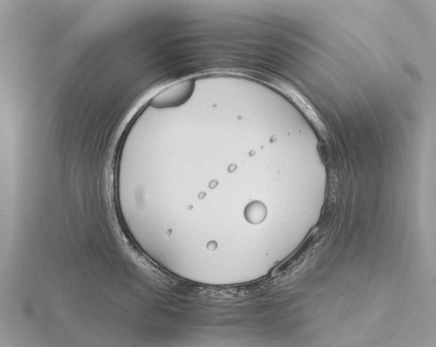 X0000115620955200912081020