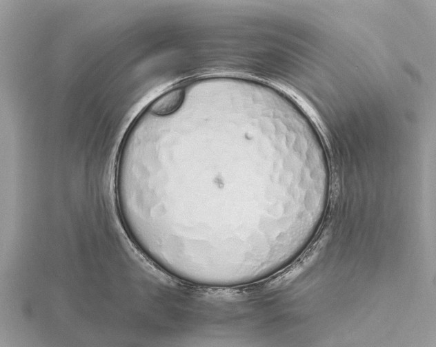 X0000115620957200912081020