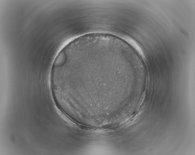 X0000115620958200912081020