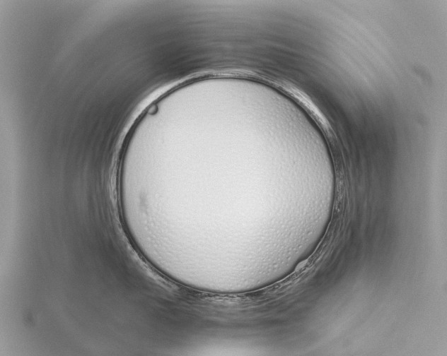 X0000115620959200912081020