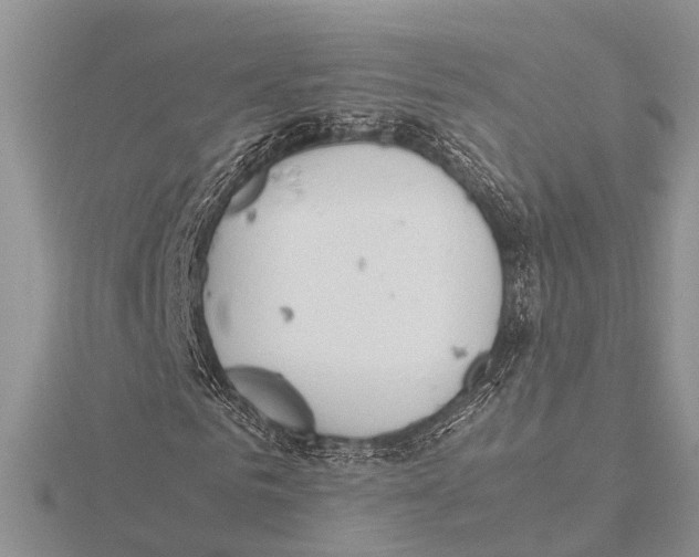 X0000115620961200912081020