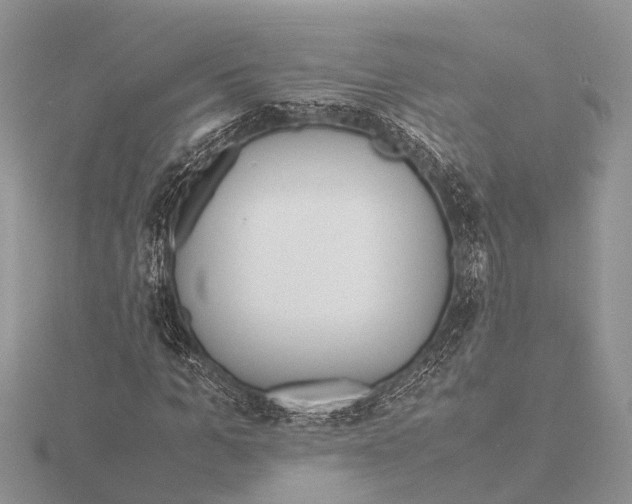 X0000115620965200912081020