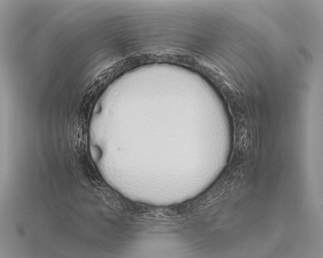 X0000115620966200912081020