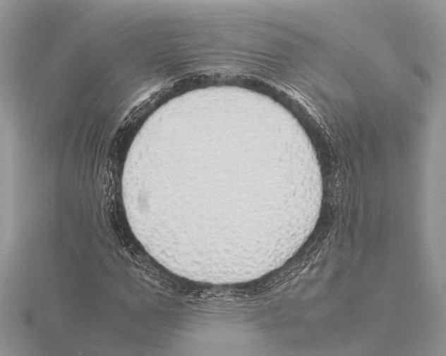 X0000115620967200912081020