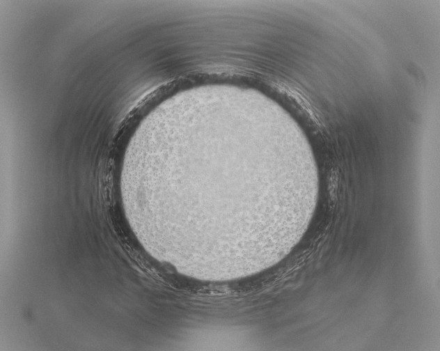 X0000115620968200912081020