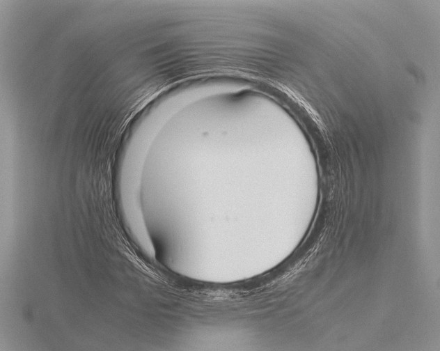 X0000115620969200912081020