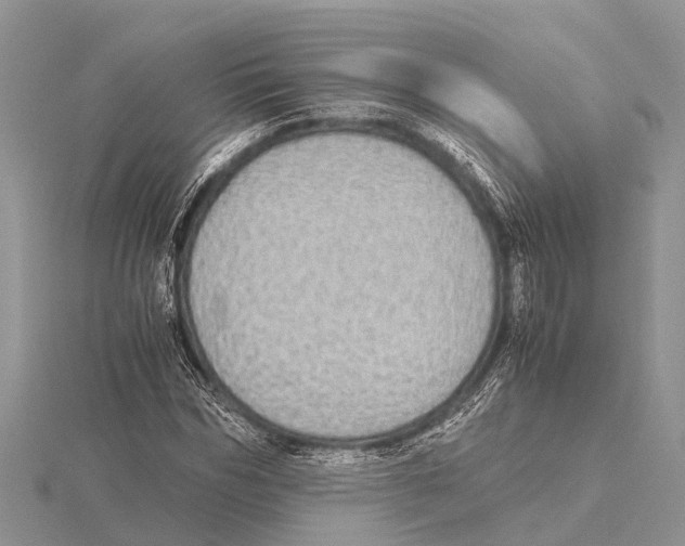 X0000115620970200912081020