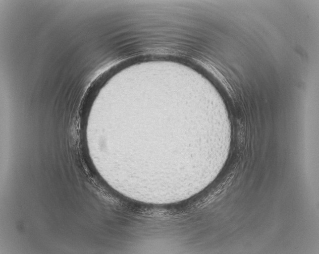 X0000115620971200912081020