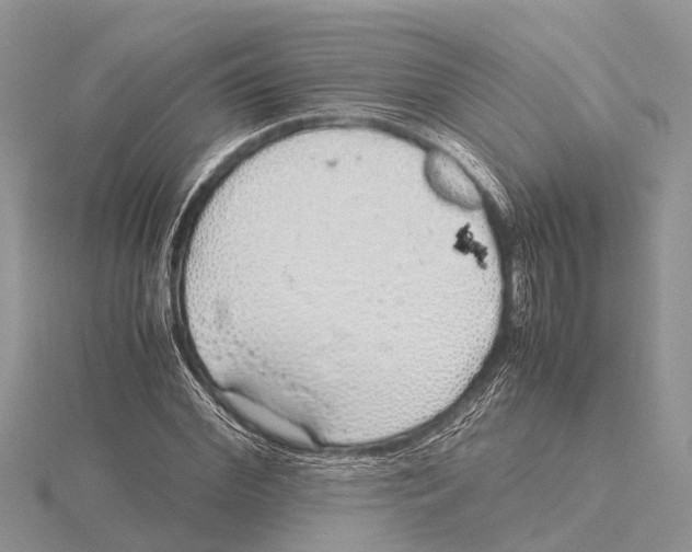 X0000115620972200912081020