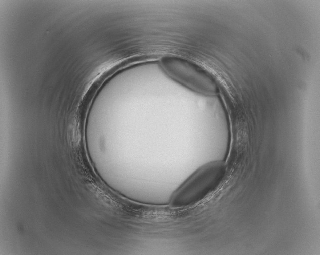 X0000115620973200912081020