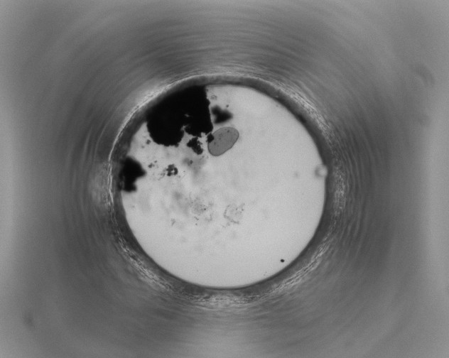 X0000115620974200912081020