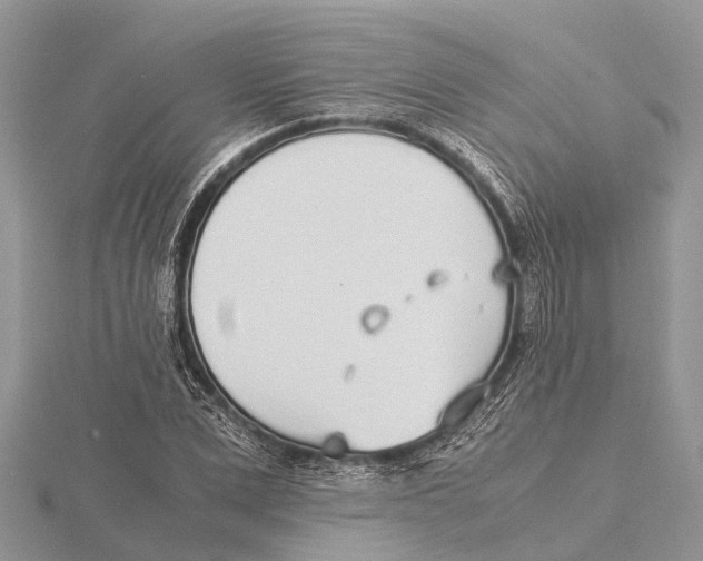 X0000115620975200912081020