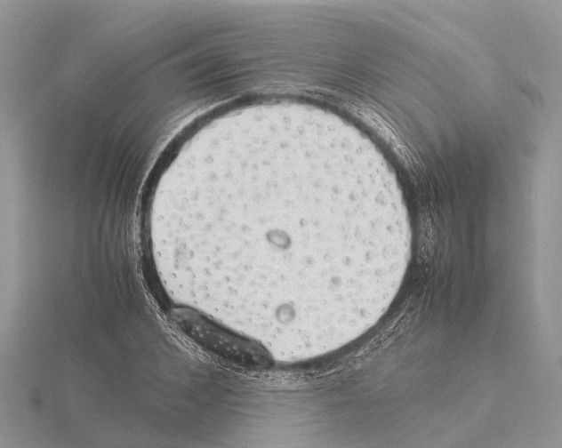 X0000115620976200912081020