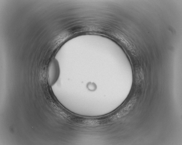 X0000115620977200912081020