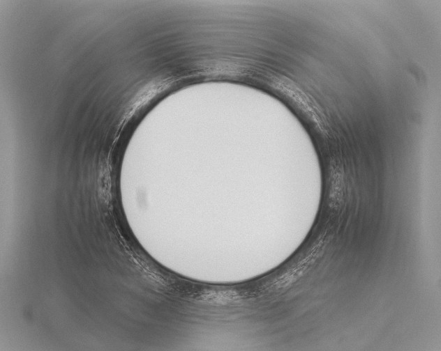 X0000115620978200912081020