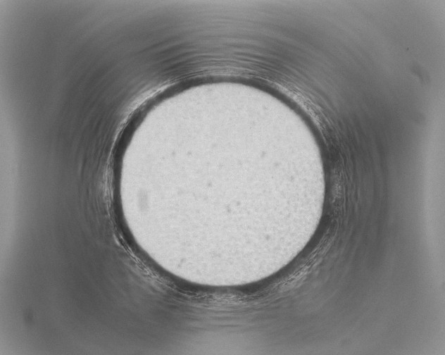 X0000115620979200912081020