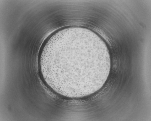 X0000115620980200912081020