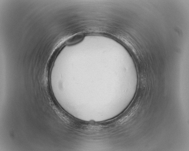 X0000115620981200912081019