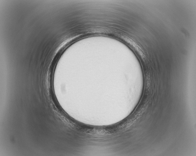 X0000115620983200912081019