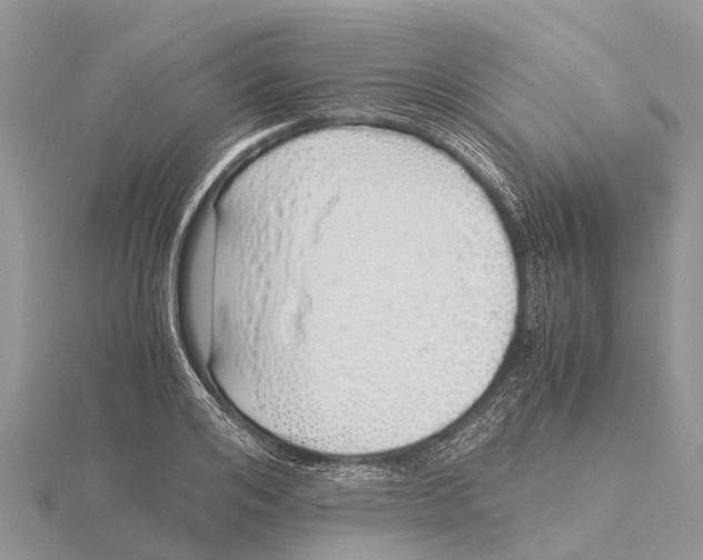 X0000115620984200912081019