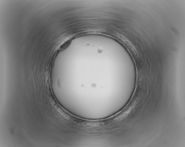 X0000115620985200912081019