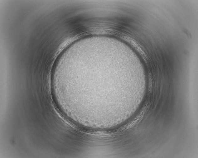 X0000115620986200912081019