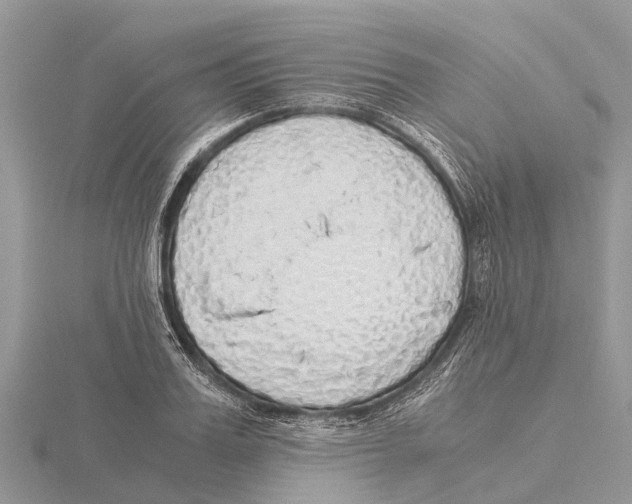 X0000115620987200912081019