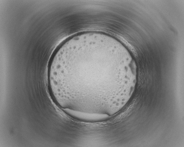 X0000115620988200912081019