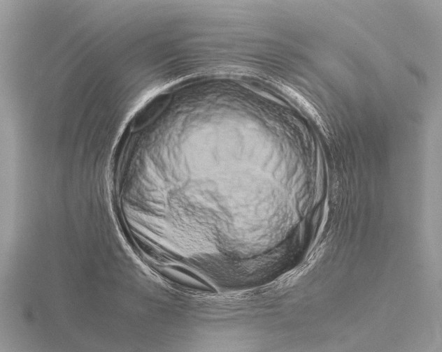 X0000115620989200912081019