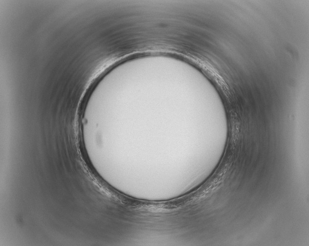 X0000115620990200912081019