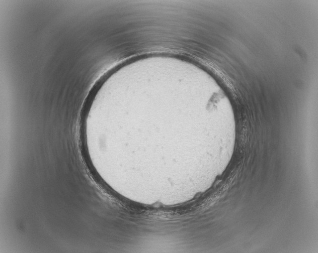 X0000115620991200912081019