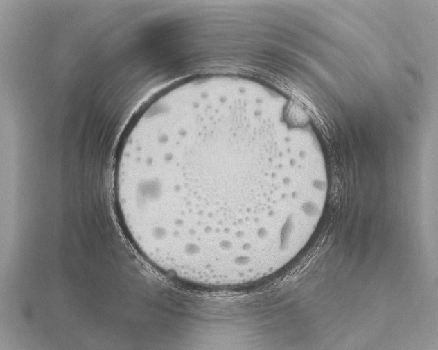 X0000115620992200912081019